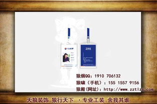 天狼广告公司 内容与意境的完美融合，专业代理设计服务