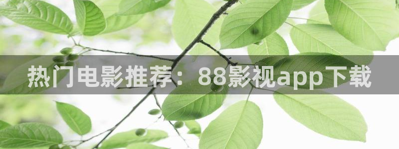 黑蚂蚁影院电视剧免费看：热门电影推荐：88影视app下载