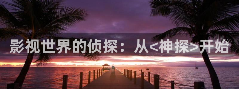 黑蚂蚁电视剧全集观看：影视世界的侦探：从<神探>开始