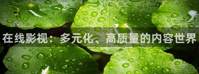 黑蚂蚁电视剧