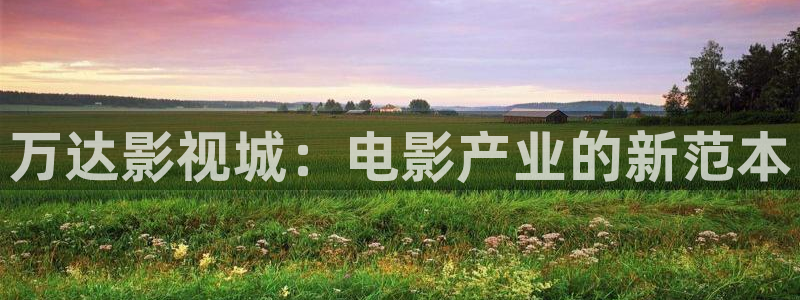 黑蚂蚁影视公司