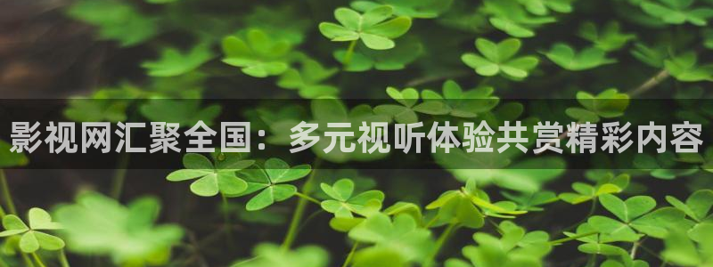 黑蚂蚁视频全集