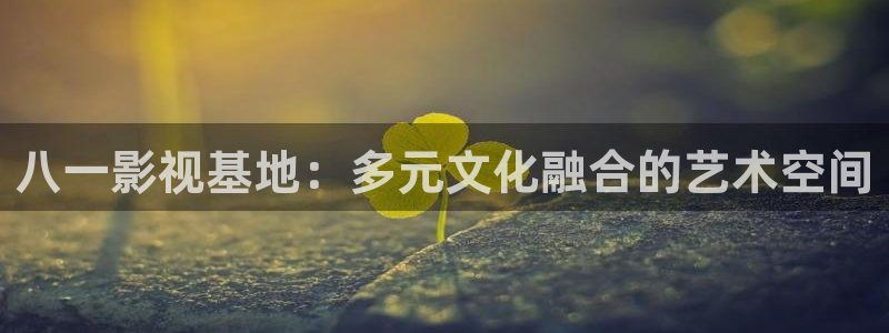 黑蚂蚁影视公司