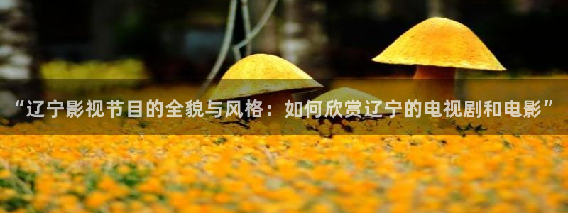 黑蚂蚁影视下载